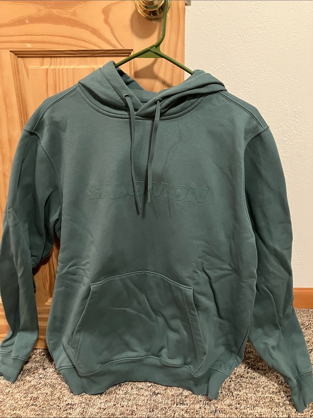 Salomon Men's Hoodie in Teal